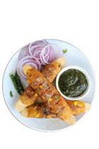 Paneer Cheese Sheek Kabab
